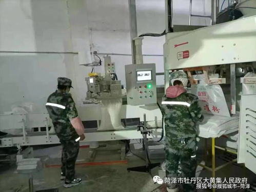 牡丹区大黄集镇新年过后虎虎生威生产忙