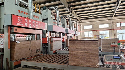 福庆孕婴板绿色工厂开放日 领略品质工艺,守护孕婴未来