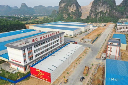 转发 山呼海应 携手小康 融水特色扶贫产品热销廉江红橙节