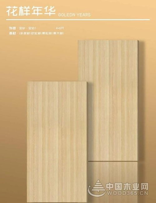 品牌全面升级 沃森川荣膺 家具板十大品牌 荣誉