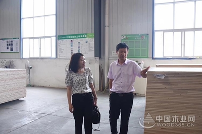 【专访】信达木业王顺兵:成功不是偶然的选择,而是志同道合的结果
