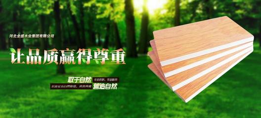 好消息!苏木匠荣膺“生态板十佳优质供应商”