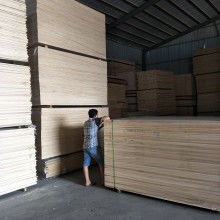 杨木板材价格 杨木板材公司 图片 视频