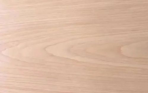 中意木业 实木家具常见的7种木材