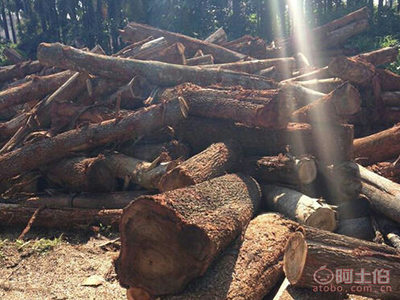 【怡合东莞厂家直销相思木本色哑光木地板本色哑光高耐磨中式款式原木】东莞市大岭山怡合木业经营部 - 产品库