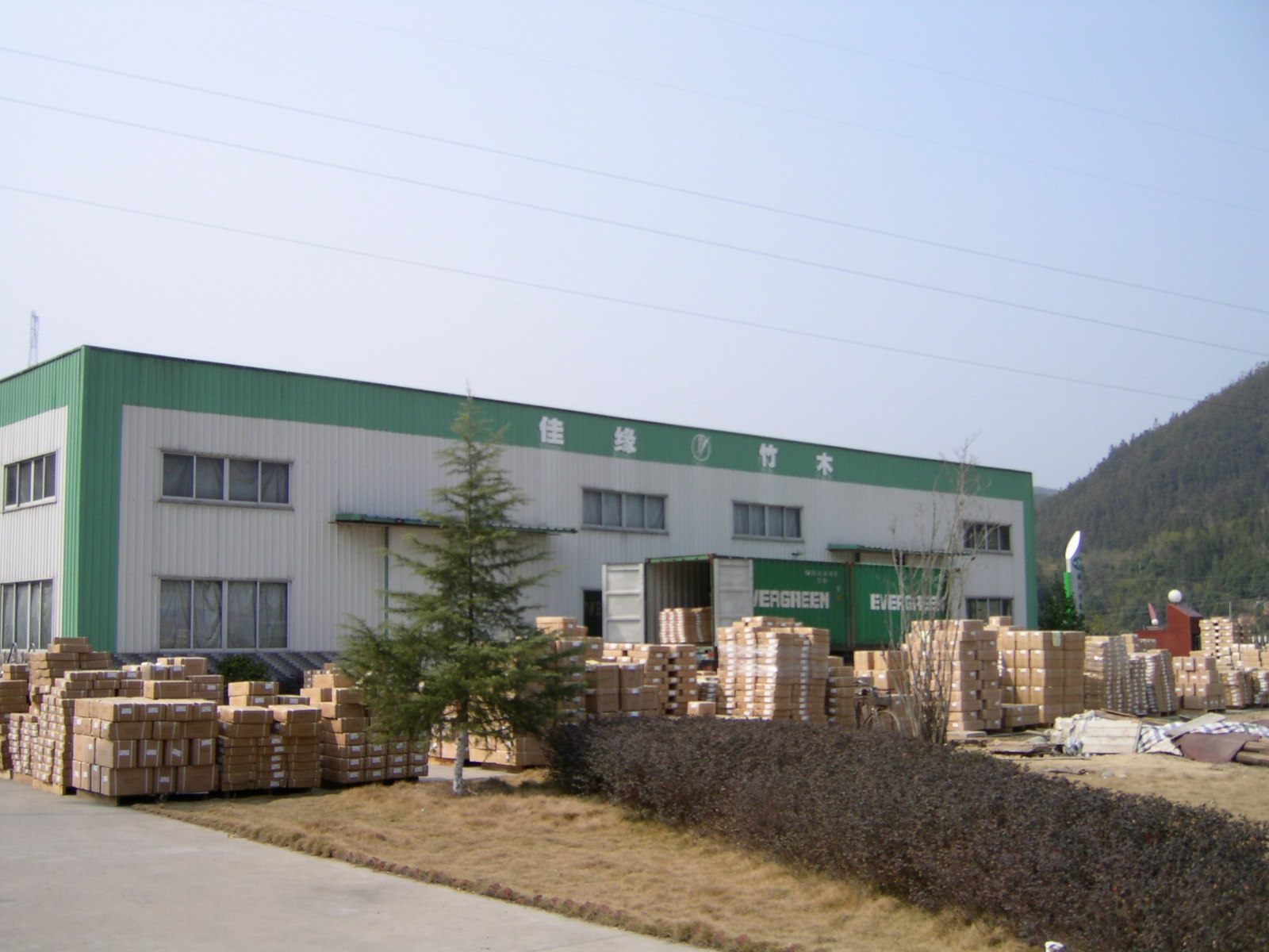 浙江佳缘竹木-木业网 连接木材产业的桥梁与创新先锋