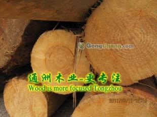 通洲木业 专业铁杉木材加工，打造高品质建筑木方